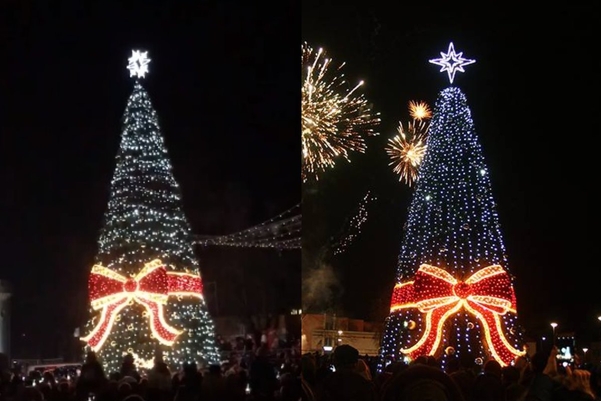 Tauragės ir Kupiškio eglės 2018 (nuotr. facebook.com)