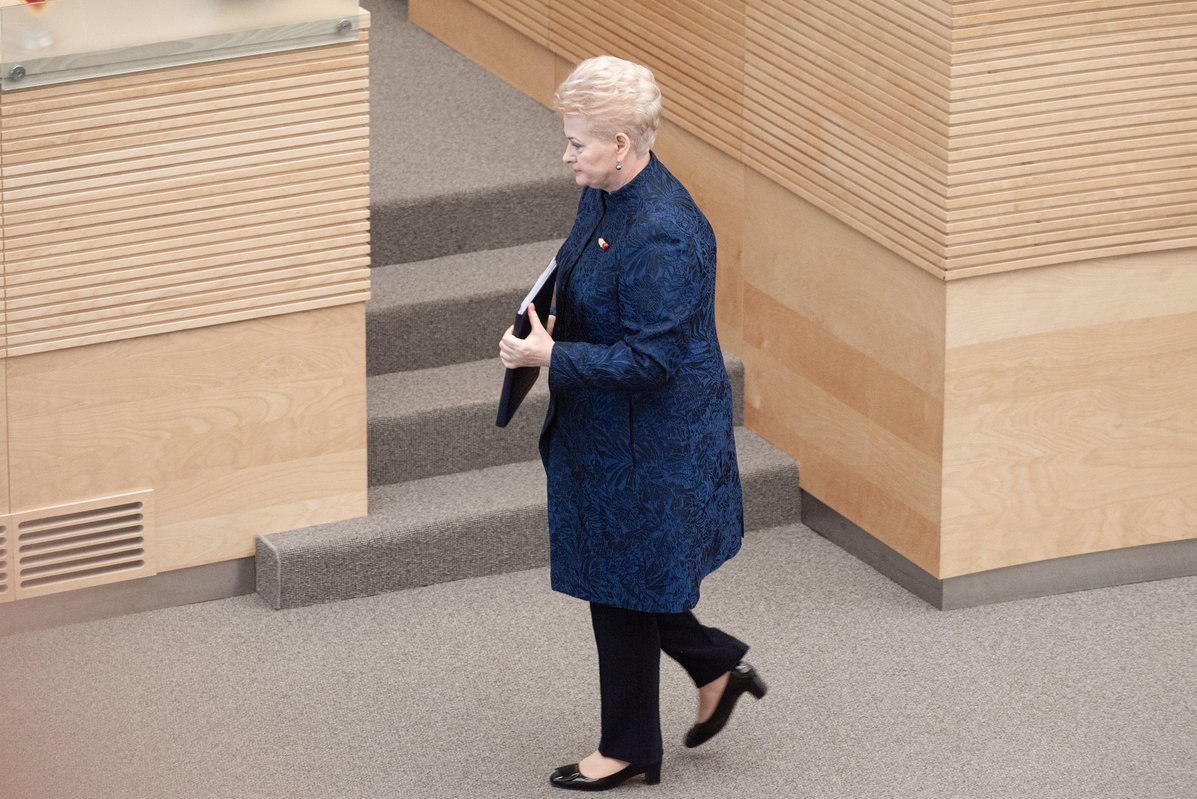 Dalia Grybauskaitė Fotodiena/Arnas Strumila