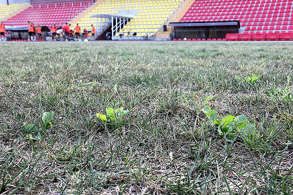 Stadionas (nuotr. Karolinos Stažytės) (nuotr. Balsas.lt)