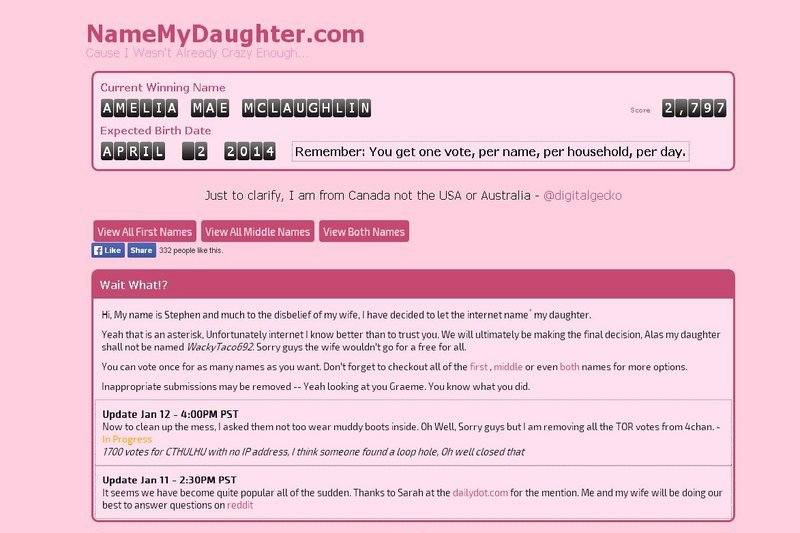 Vyriškis internete sukūrė puslapį, kuriame balsuojant galima išrinkti jo būsimai dukrai vardą (nuotr. namemydaughter.com)