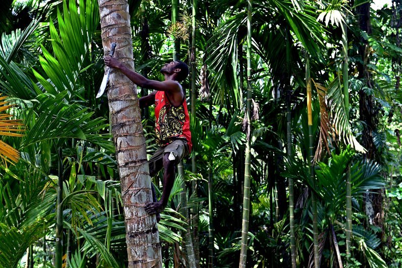Papua Naujojoje Gvinėjoje (nuotr. SCANPIX)