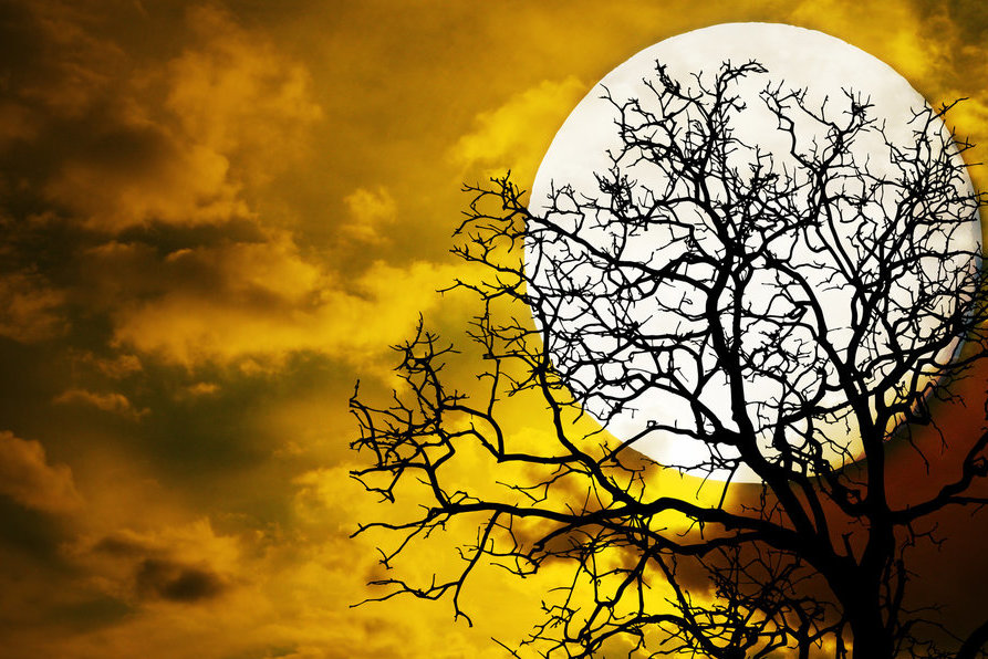 Mėnulis (nuotr. Fotolia.com)