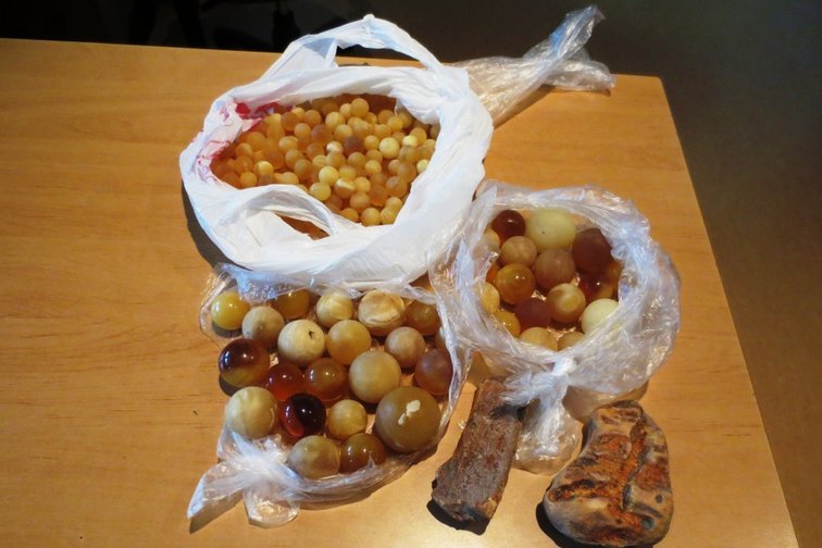 Gintaras (nuotr. Muitinės kriminalinės tarnybos) (nuotr. Balsas.lt)
