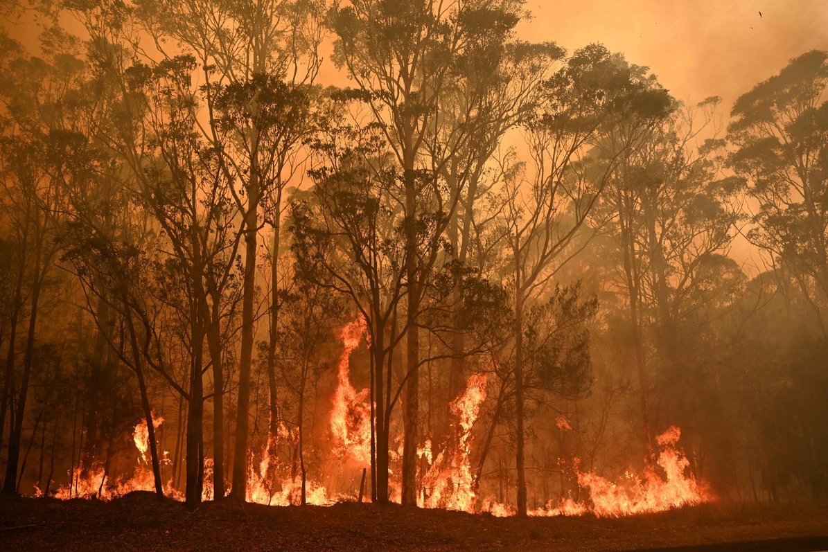 Gaisrų kamuojama Australija (nuotr. SCANPIX)