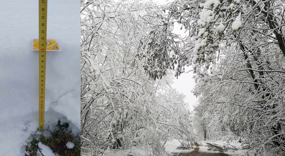 Lietuvoje – net 17 cm sniego pusnys, dalis gyventojų liko be elektros, kai kurie keliai nepravažiuojami
