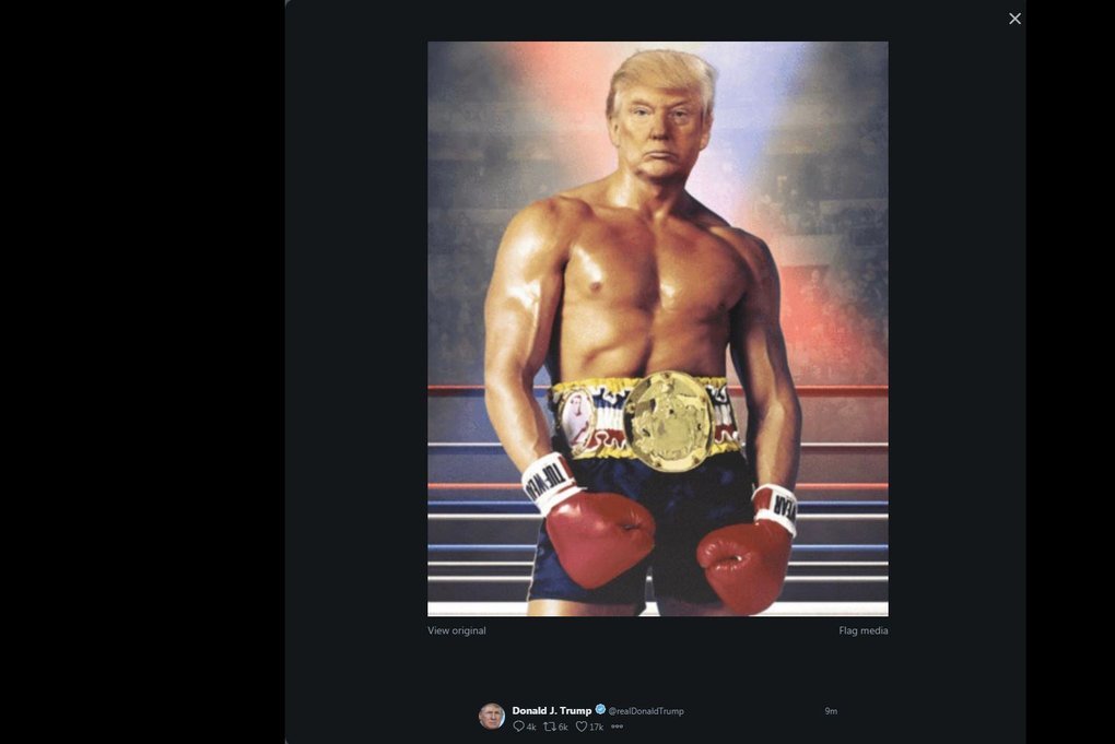 Donaldo Trumpo fotomontažas (nuotr. SCANPIX)