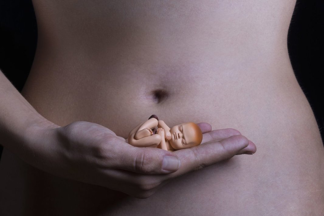 Abortas (nuotr. 123rf.com)
