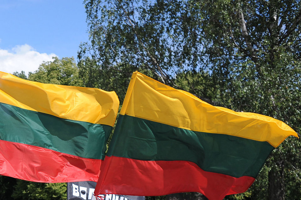 Lietuvos vėliavos (nuotr. Fotodiena.lt/Roberto Dačkaus)