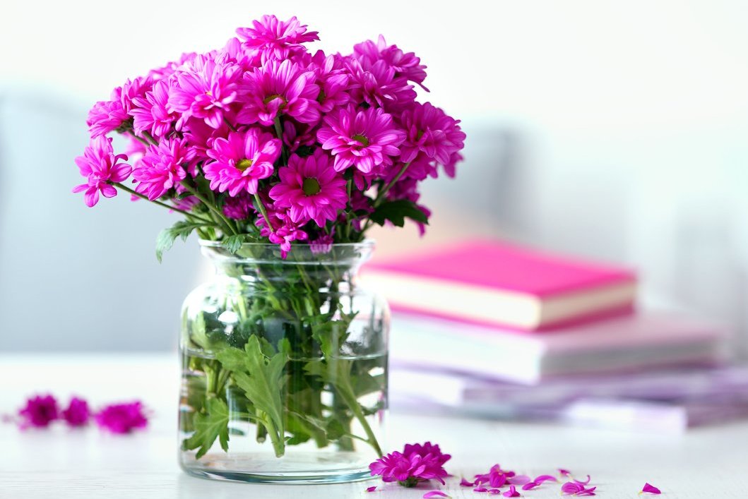 Gėlės namuose (nuotr. Shutterstock.com)