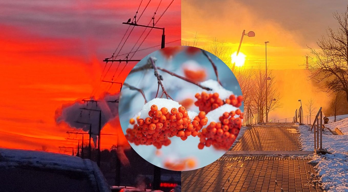 Sugrįžusi žiema žmonių nedžiugina: klimatologas atskleidė, ko tikėtis šią savaitę