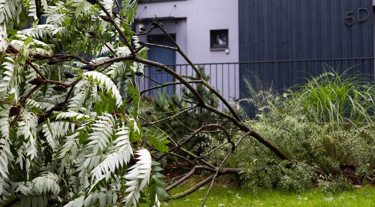 Skubiai įspėja gyventojus: savivaldybės ragina šiuo metu geriau likti namuose – štai ką būtina padaryti