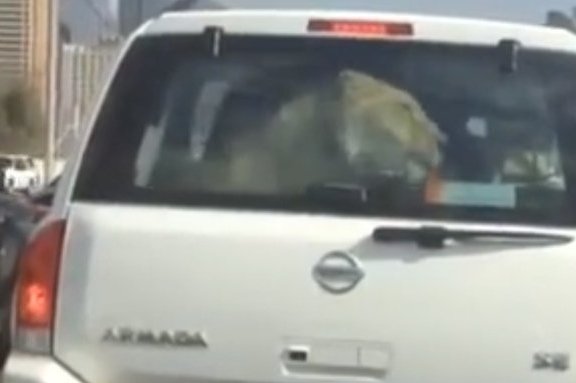 Arabų stebuklai: kai liūtas vežiojamas šeimos visureigiu. (nuotr. iš vaizdo įrašo)