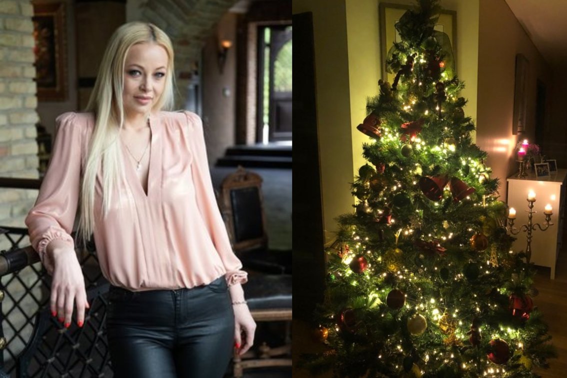 Vilija Pilibaitytė-Mia ir jos namų Kalėdinė eglė (tv3.lt fotomontažas)