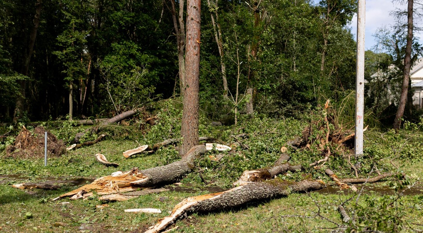 Audros padariniai: be elektros – beveik 9 tūkst. vartotojų, ugniagesiai virš 100 kartų vyko šalinti nuverstų medžių