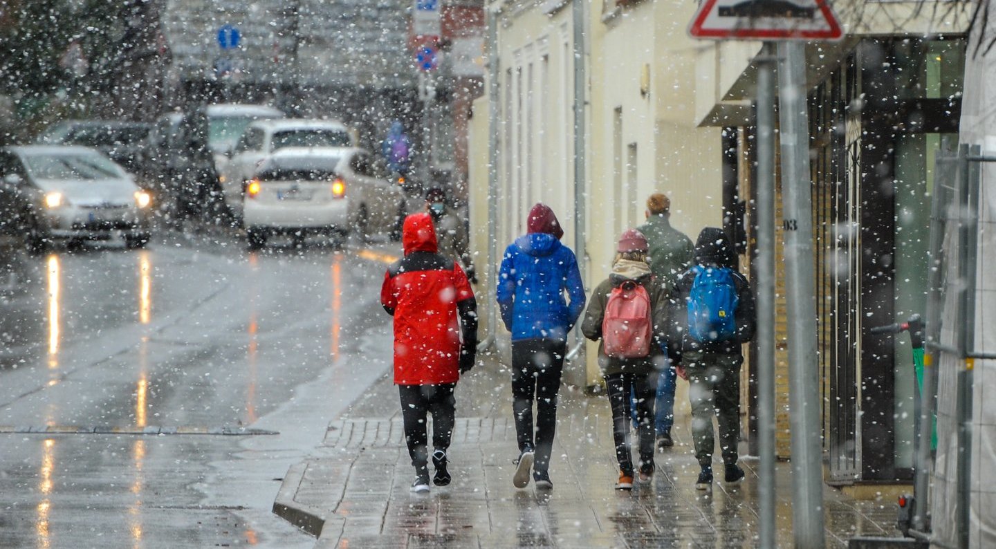 Žiemiški orai į Lietuvą neskuba: vyraus šilti ir drėgni orai