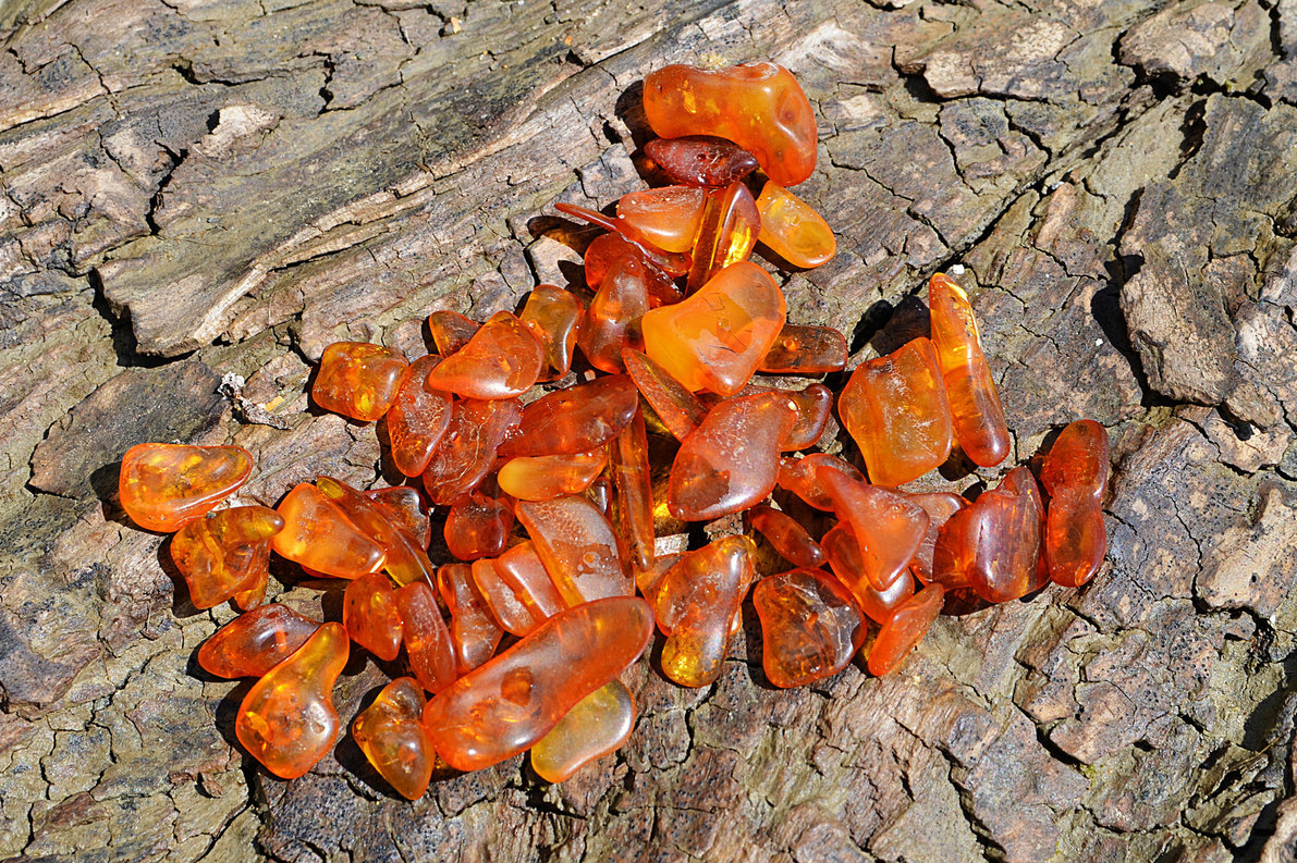 Lietuviško pajūrio simboliai (nuotr. Fotolia.com)