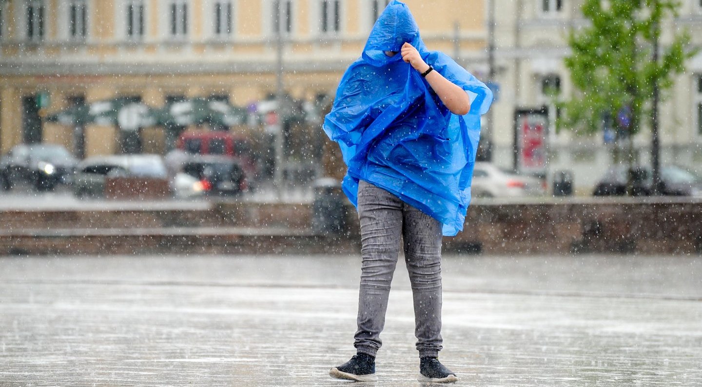 Sinoptikai įspėja – orai bus apgaulingi: pasaugokite savo augalus