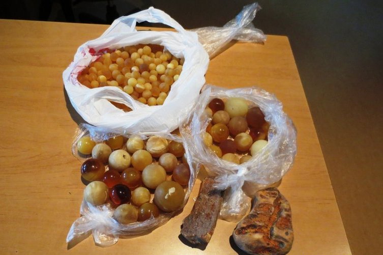 Gintaras (nuotr. Muitinės kriminalinės tarnybos) (nuotr. Balsas.lt)