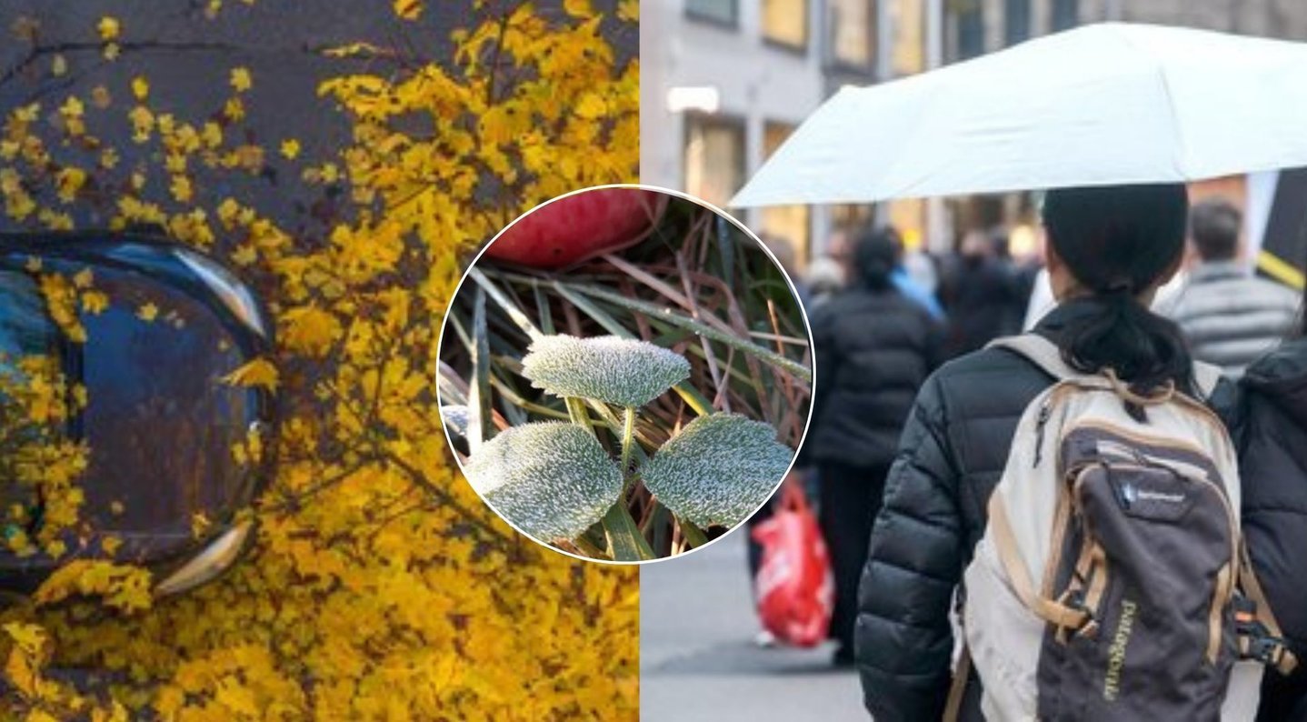 Paskubėkite, jei dar turite sodo darbų: jau kitą savaitę – šalnos
