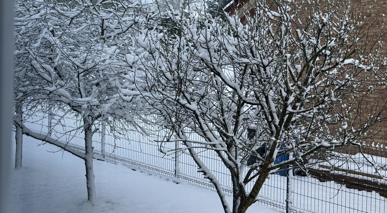 Vaizdas už lango kaip reikiant nustebino: „Eisime lipdyti sniego senius“