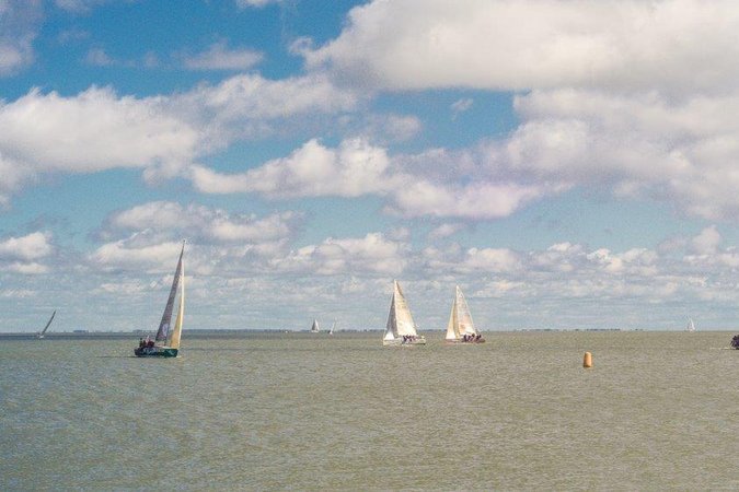 Kuršių marių regata (nuotr. Danulis.com)