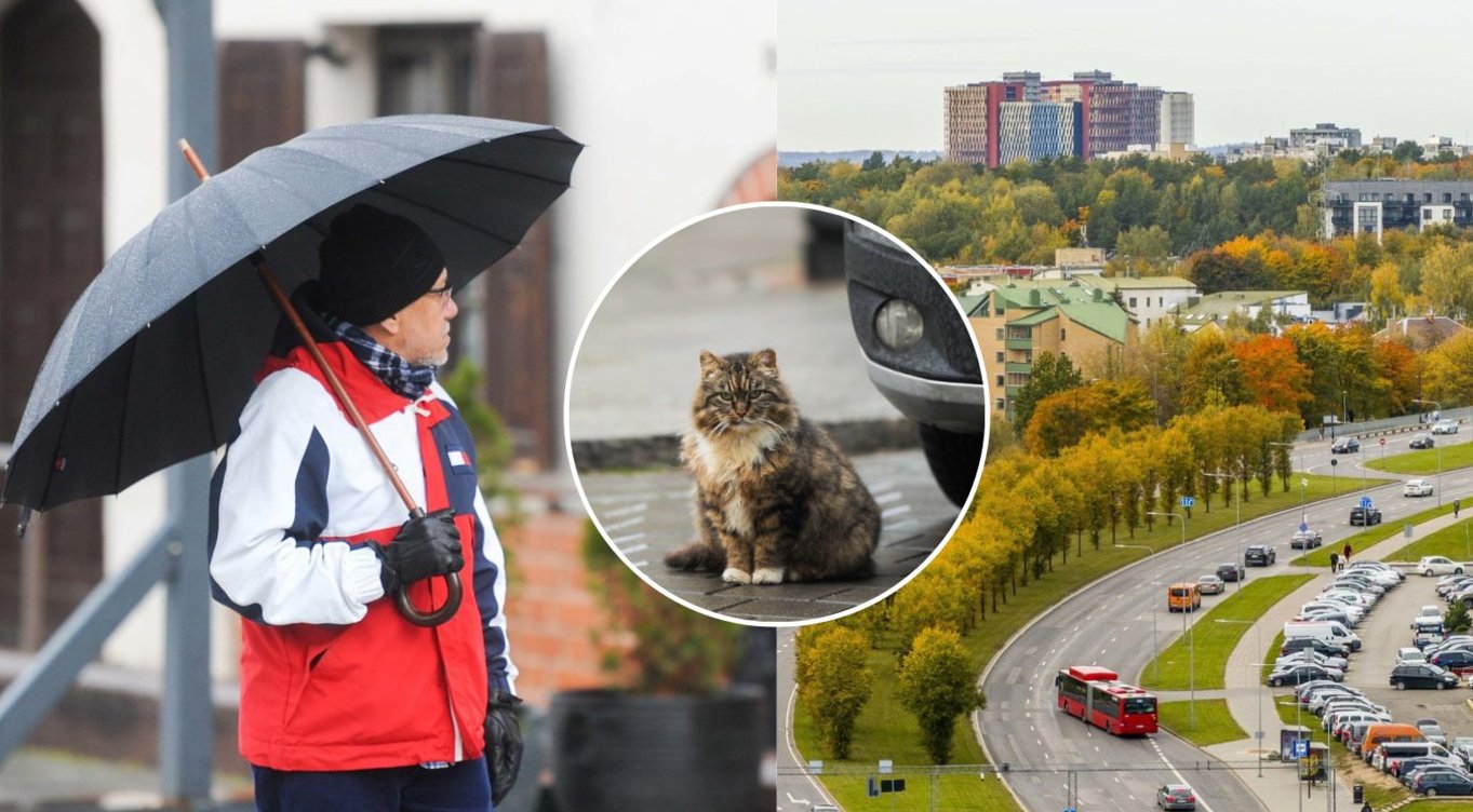 Naujausia žinomos sinoptikės prognozė: kitą savaitę orai turėtų keistis iš esmės – įvardijo, kas laukia