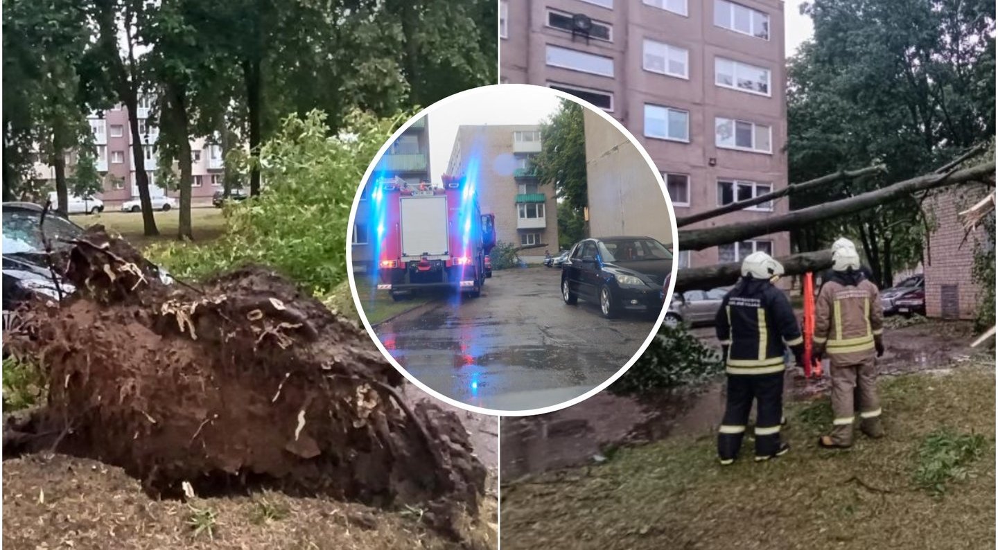 Stichija negailestinga – Kėdainiuose ant pastatų ir automobilių virsta medžiai: tarnybos vos spėja suktis