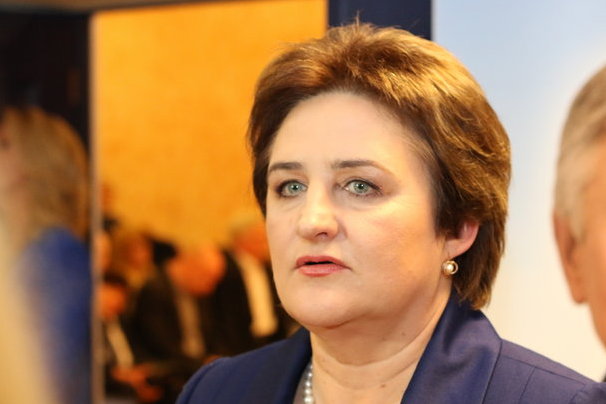 L. Graužinienė (nuotr. S. Vilimaitės / „Balsas.lt“)