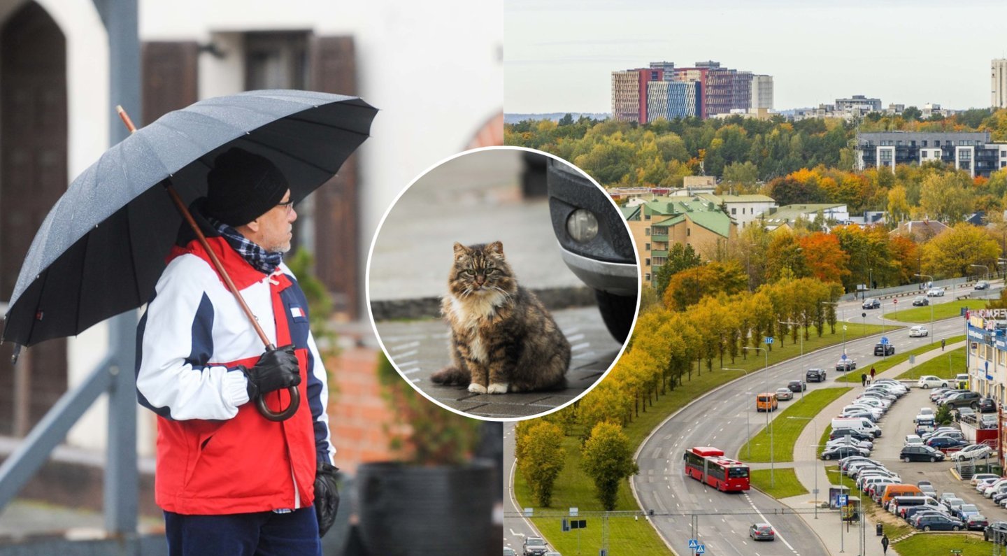 Prognozuoja itin nemalonius orus: Lietuvą užgrius ciklonas Wolfried – pasiruoškite