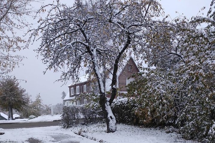 Gyventojai sulaukė staigmenos: dalį Lietuvos nuklojo sniegas 