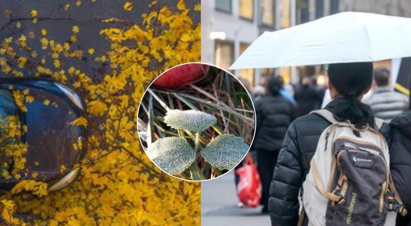 Įspėja apie stichinį reiškinį Lietuvoje: tai įvyks šią savaitę