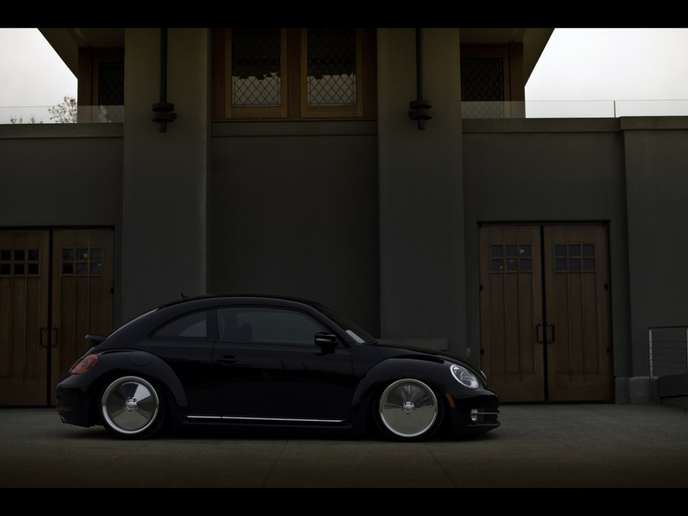 new_new_beetle-4