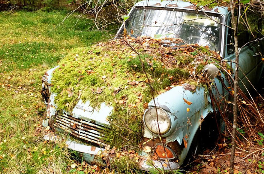 dad-visits-lost-car-40-years-later-3