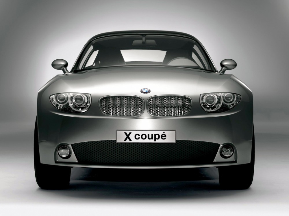 BMW X (3)