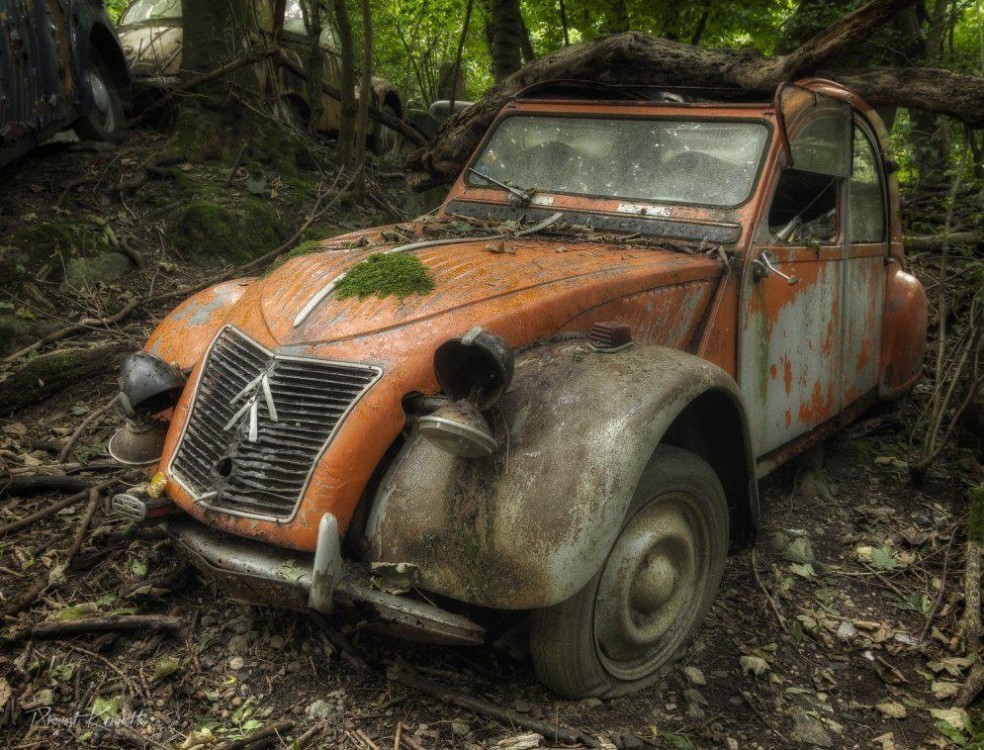 Auto_005