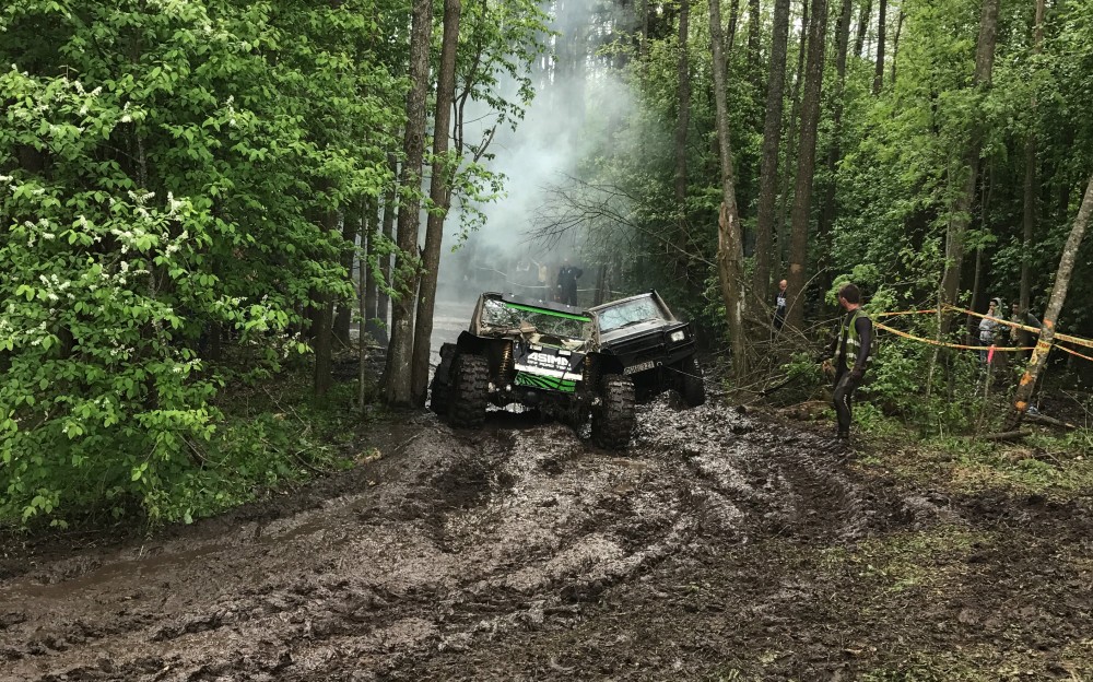 Sakalo raistas 2017 (1)