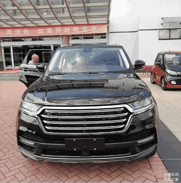 Zotye T900 (5)