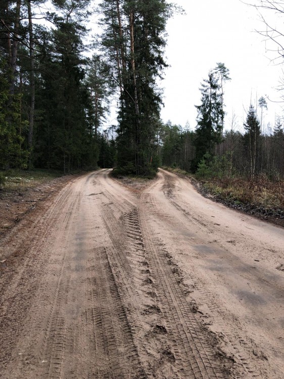 WR GR paeiškos. Organizatorių nuotrauka (4)