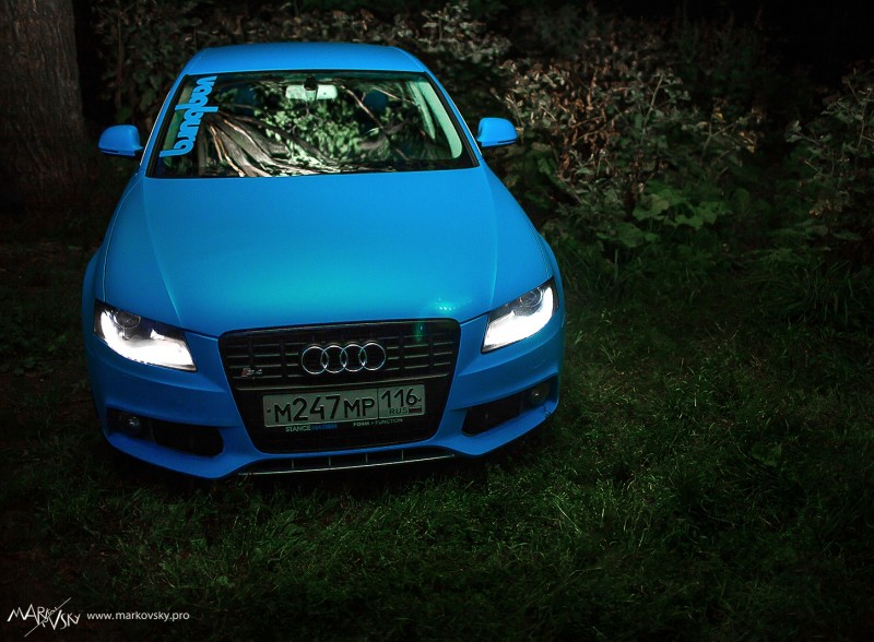 Žydras stirna miške vardu <a href='https://www.autobilis.lt/skelbimai/naudoti-automobiliai/audi' target='_blank' class='phrase'>Audi</a>