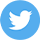Twitter icon